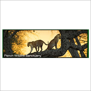 Gir Wildlife Safari Tour