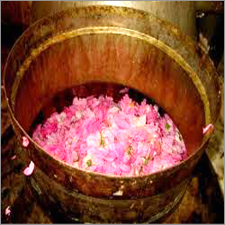 Rose Water