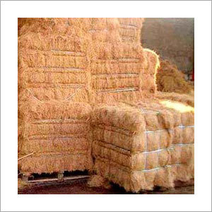 Coir Fibre