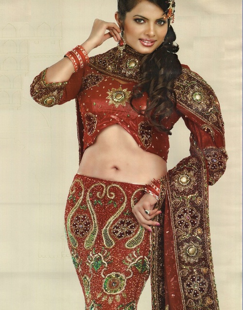 Fancy Wedding Sarees Exporters