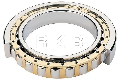 Cylinderical Bearing