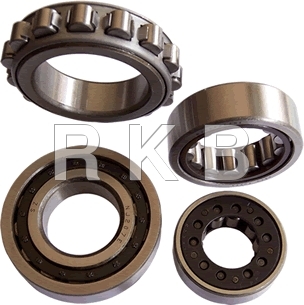 Cylinderical Bearing