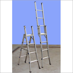 Straight Cum Self Supporting Ladder