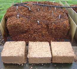 Coir Piths