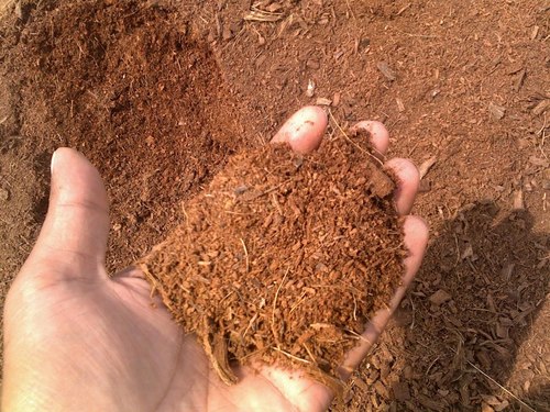Coir Powder
