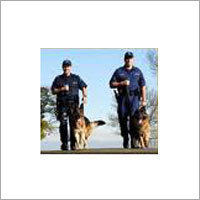 Security Officers