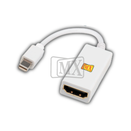 Mini Display Port
