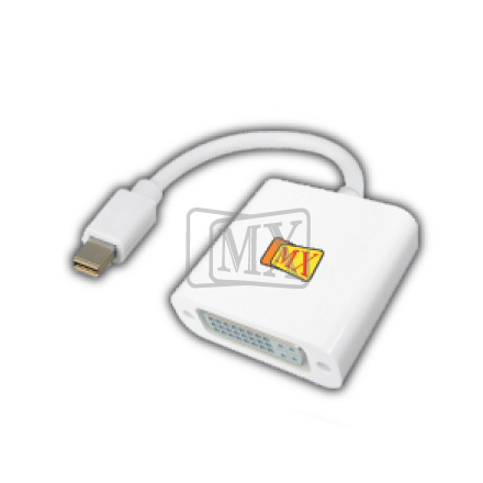 Mini Display Port