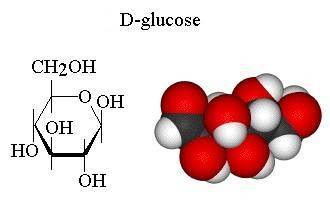 Carbohydrate Derivative