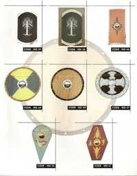 Medieval Shield