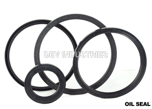 Oil Seal