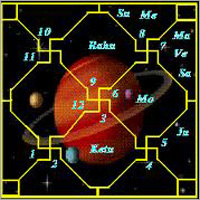 Career Astrology Services