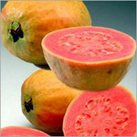 Pink Guava Pulp
