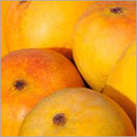 Sweetened Totapuri Mango Pulp