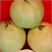 White Guava Pulp