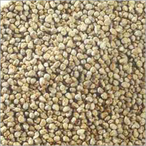 Bajra (Millet By NATHUBHAI COOVERJI & SONS