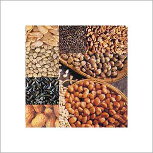 Oil Seeds