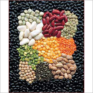 Indian Pulses