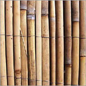 Bamboo Split Screens