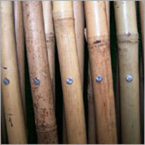 Bamboo Trellis - Expandable Multi-Section Bamboo with Metal Fasteners, Durable Natural Look