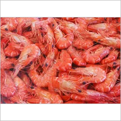 Shrimp Food