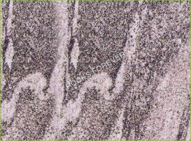 Kuppam Green Granite