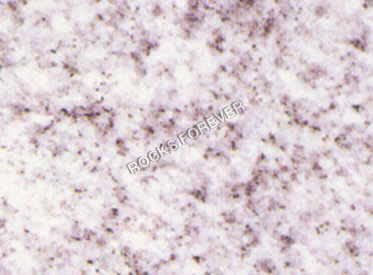 Viscon White Granite