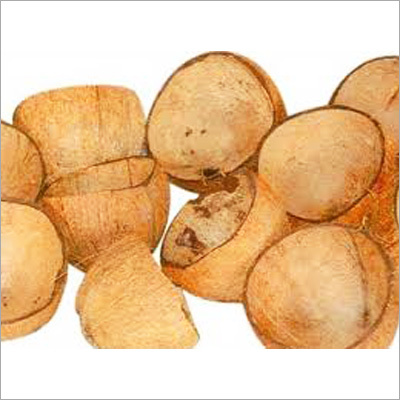 Coconut Shell