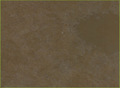 Kota Brown Polished Natural Stone