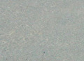 Lime Green Natural Stone