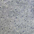 Zeera Green Polished Natural Stone