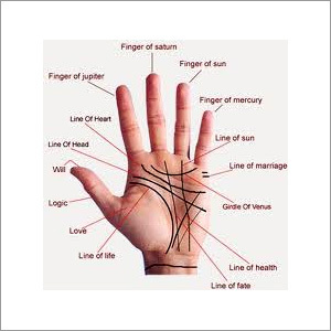 Palm Reading Solutions