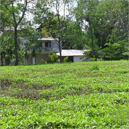 Real Estate Consultants & Projects