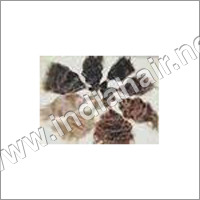 Indian Virgin Malaysian Curly Hair