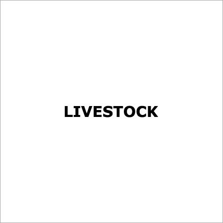 Livestock