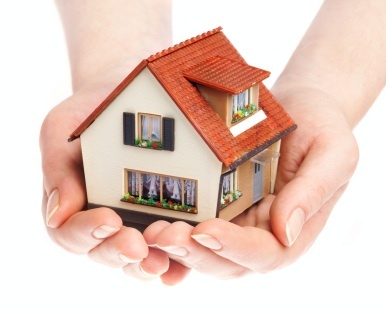 Insurance Services