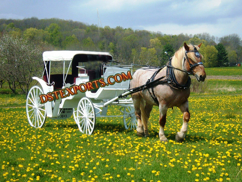 स्प्रिंग विक्टोरिया हॉर्स कैरिजेस