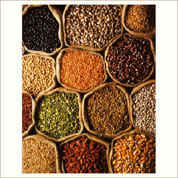 Indian Spices