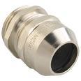 double compression glands double compression glands