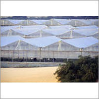 Plant Net Cloths