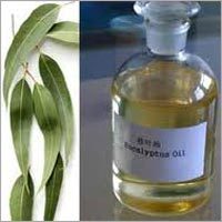 Eucalyptus Citriodora Oil