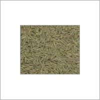 Cumin Seed