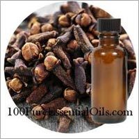Clove Bud Essential Oil