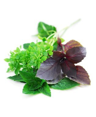 Basil oil