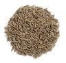 Cumin oils