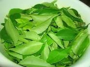 Curry leaf oils