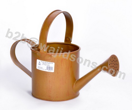 Watercan double handle