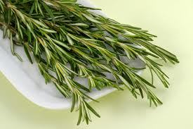 Rosemary Oil