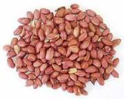 GROUNDNUTS