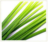 Citronella Oil
